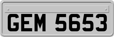 GEM5653