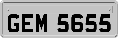 GEM5655