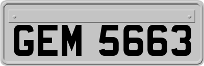 GEM5663