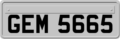 GEM5665
