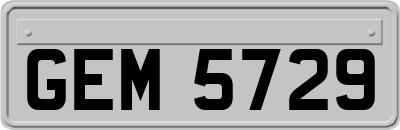 GEM5729