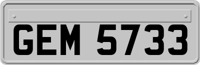 GEM5733