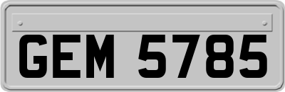 GEM5785