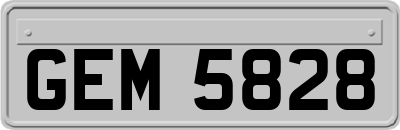 GEM5828