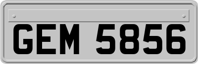 GEM5856