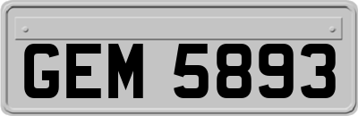 GEM5893