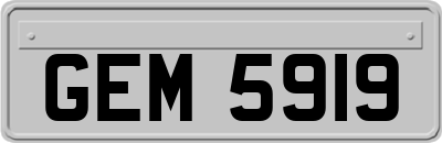 GEM5919