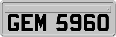 GEM5960