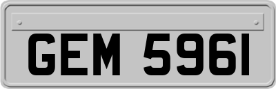 GEM5961