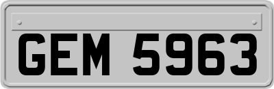 GEM5963