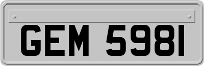 GEM5981