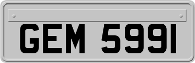 GEM5991