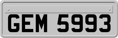GEM5993