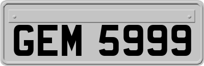 GEM5999