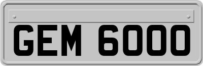 GEM6000