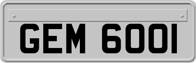 GEM6001