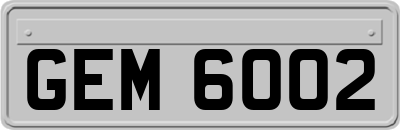GEM6002