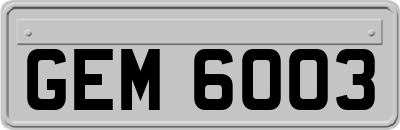 GEM6003