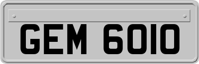 GEM6010