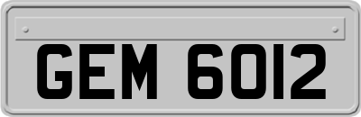 GEM6012