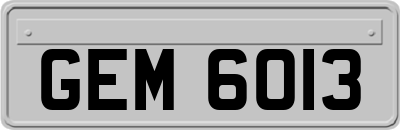 GEM6013