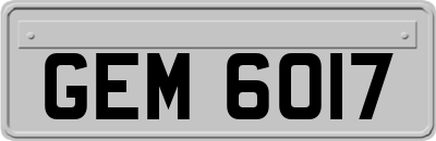 GEM6017