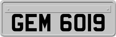 GEM6019