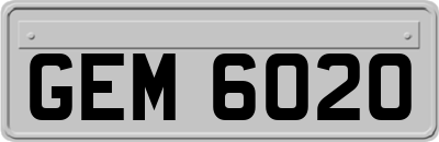 GEM6020