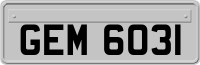 GEM6031