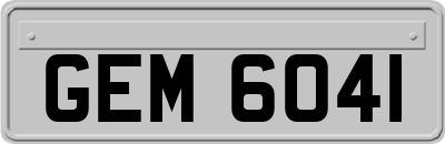 GEM6041