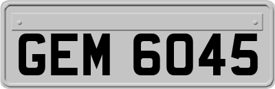 GEM6045