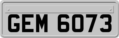 GEM6073
