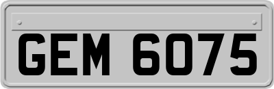GEM6075