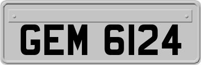 GEM6124