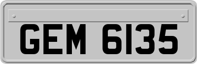 GEM6135