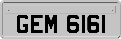 GEM6161