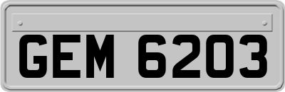 GEM6203