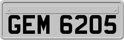 GEM6205