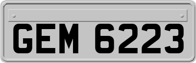 GEM6223