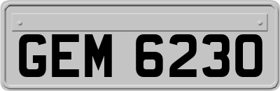 GEM6230