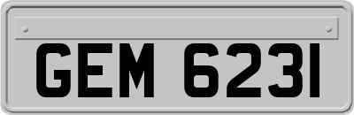 GEM6231