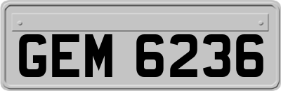 GEM6236