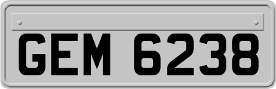 GEM6238