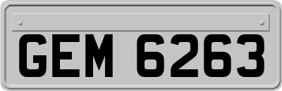 GEM6263
