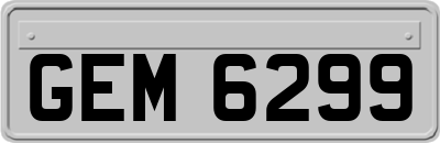 GEM6299