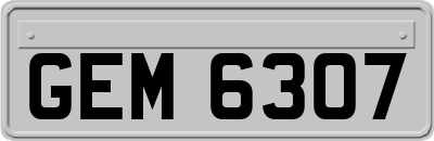 GEM6307