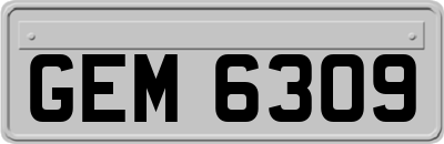 GEM6309