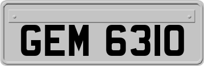 GEM6310