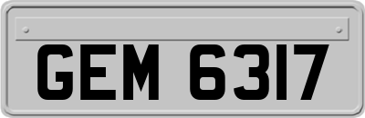 GEM6317