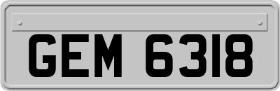 GEM6318